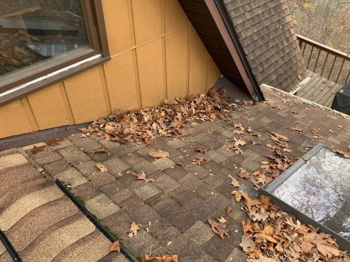 [Quality Leaf Removal and Gutter Cleaning Services!]