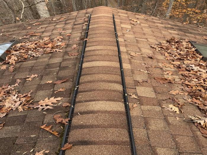 [Quality Leaf Removal and Gutter Cleaning Services!]