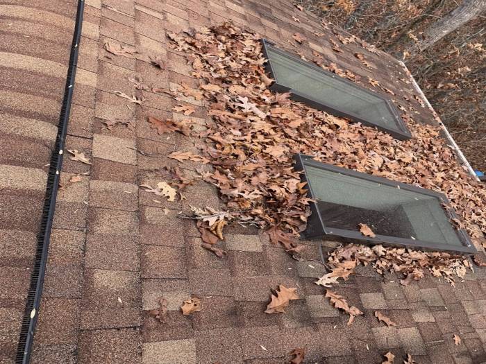 [Quality Leaf Removal and Gutter Cleaning Services!]