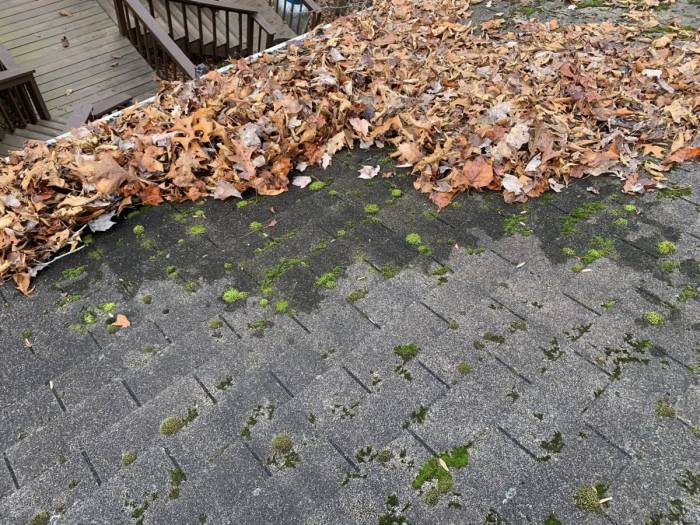 [Quality Leaf Removal and Gutter Cleaning Services!]