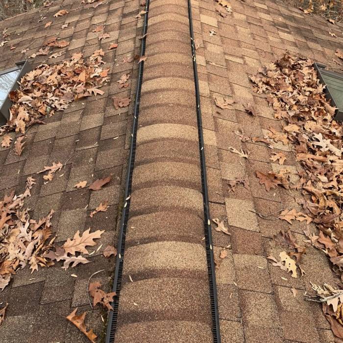 Leaf Removal Services