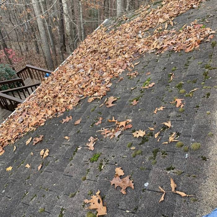 Leaf Removal Services