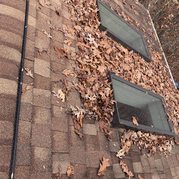 Leaf Removal Services