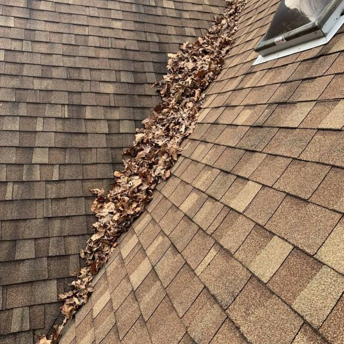 Leaf Removal Services