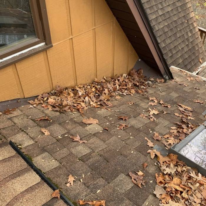 Leaf Removal Services | Four Families Roofing LLC Gallery Image